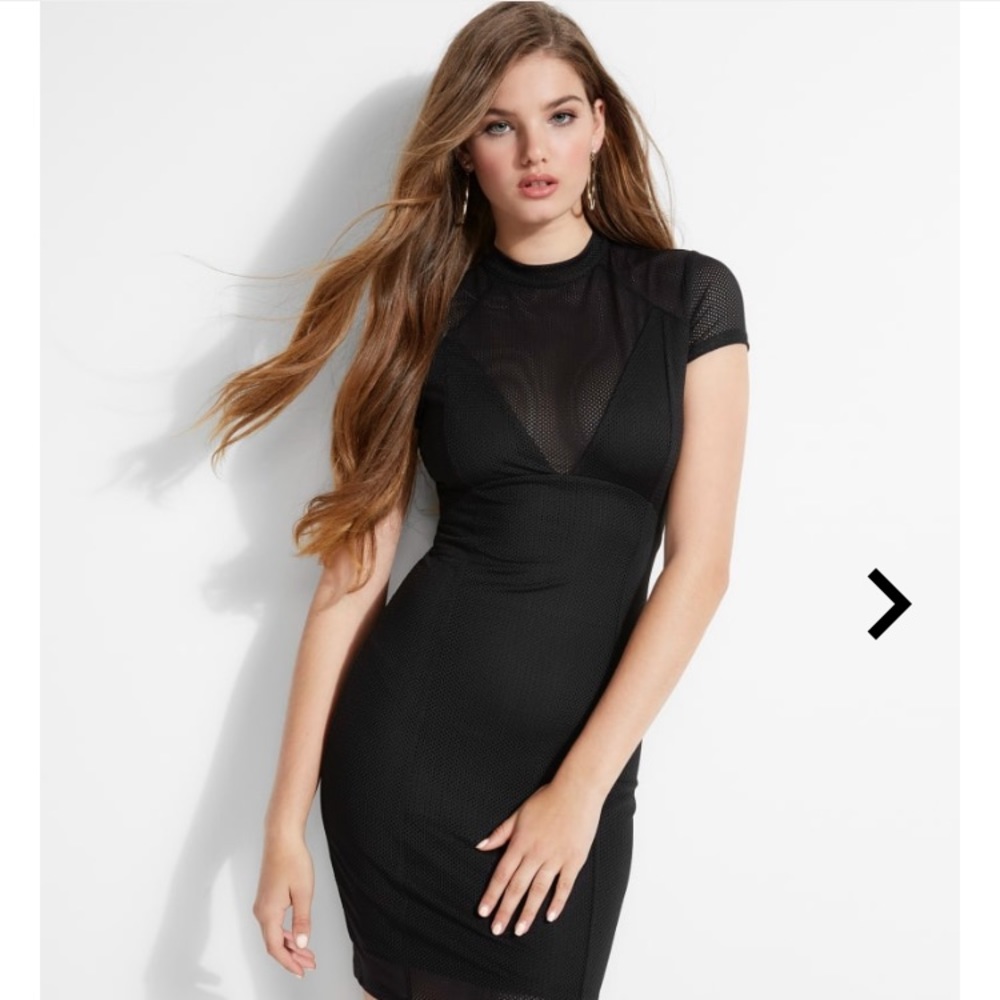 Guess Pixi Mesh Dress US Small